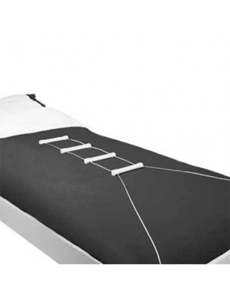 Echelle de lit médicalisée